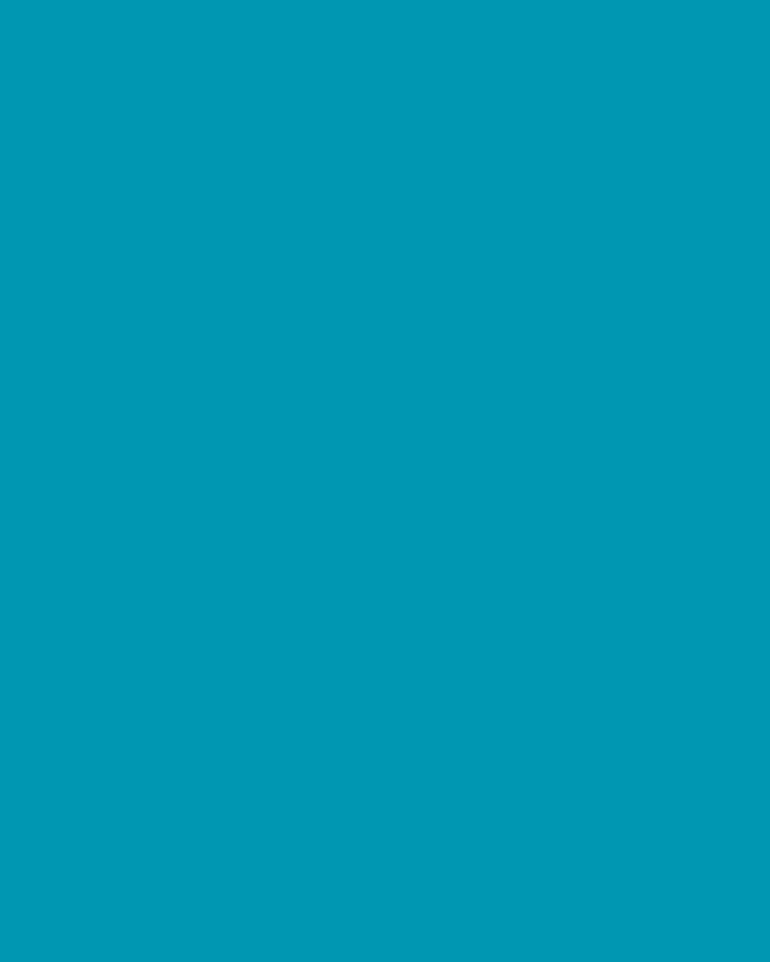School Hair Accessories - Teal